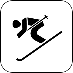 icon ski alpin schwarz auf weiss 250px 2